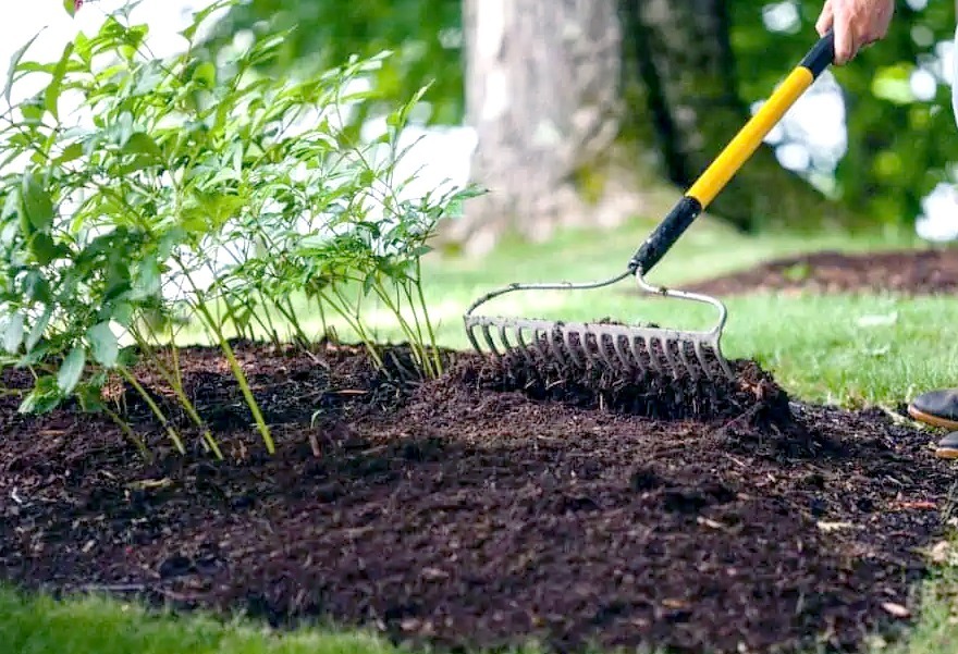 mulvhching-with-rake.jpg
